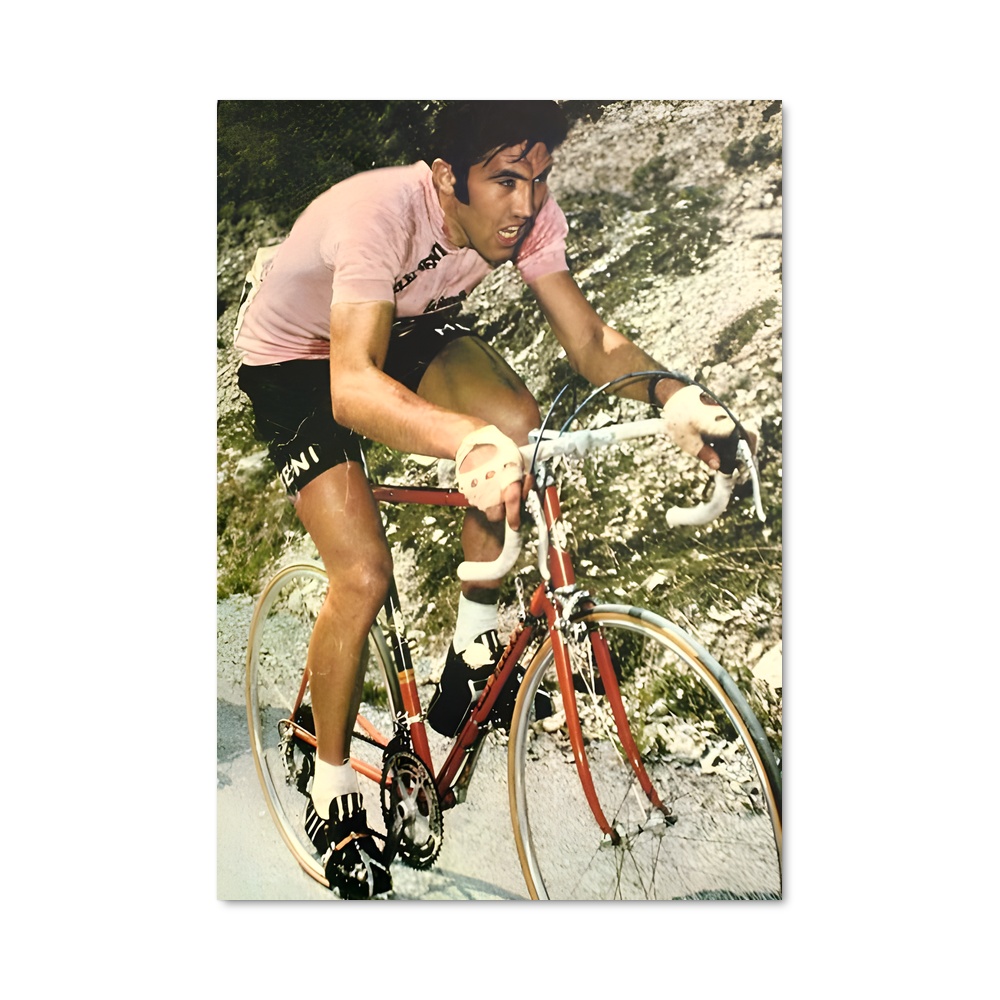 Poster Eddy Merckx Cycling Allure raffinée